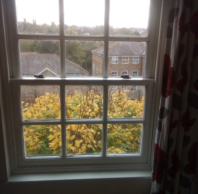 Sash Window Repair